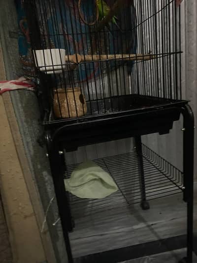 Cage for Birds