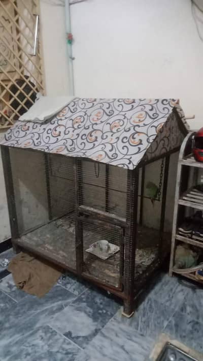 cage pinjra