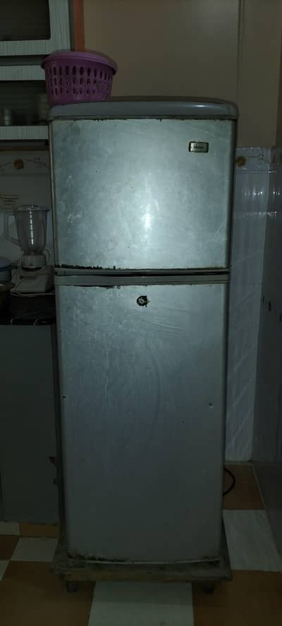 hair fridge