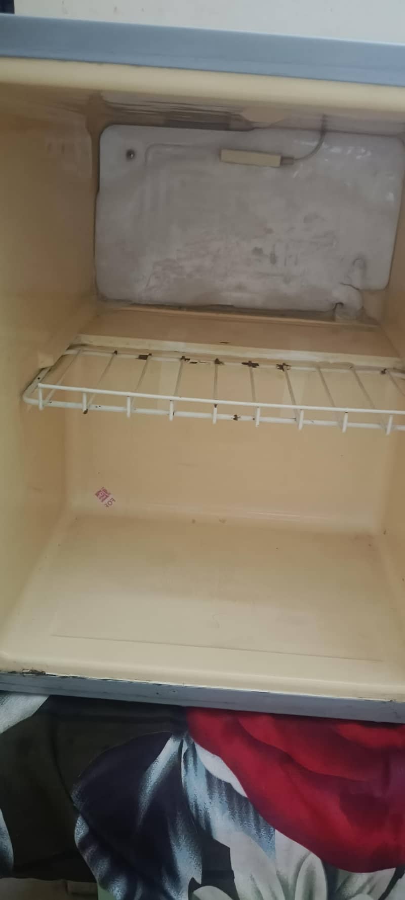 fridgemander 0