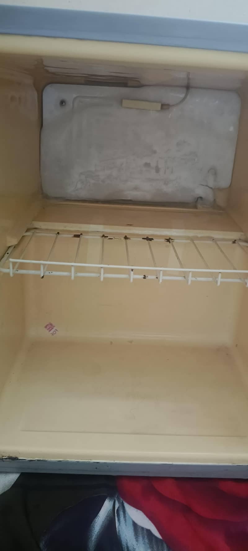 fridgemander 2