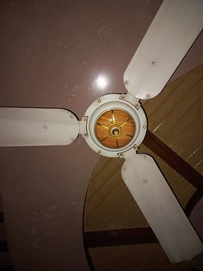 Ceiling Fan