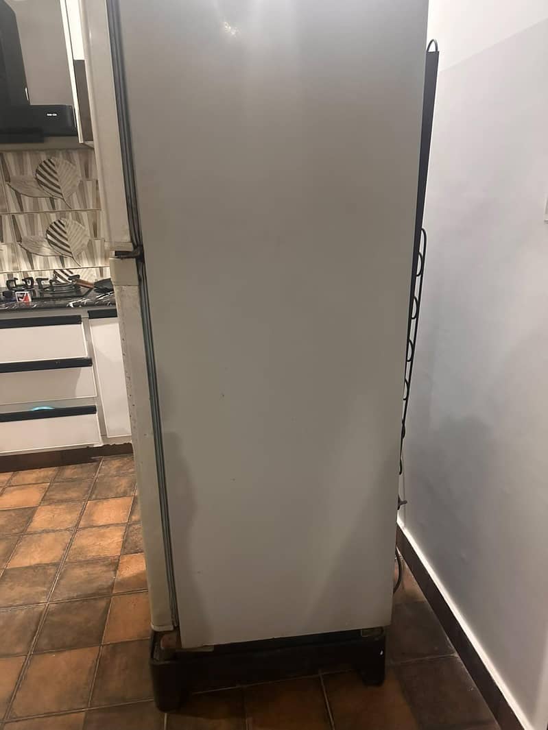 Medium size fridge 1