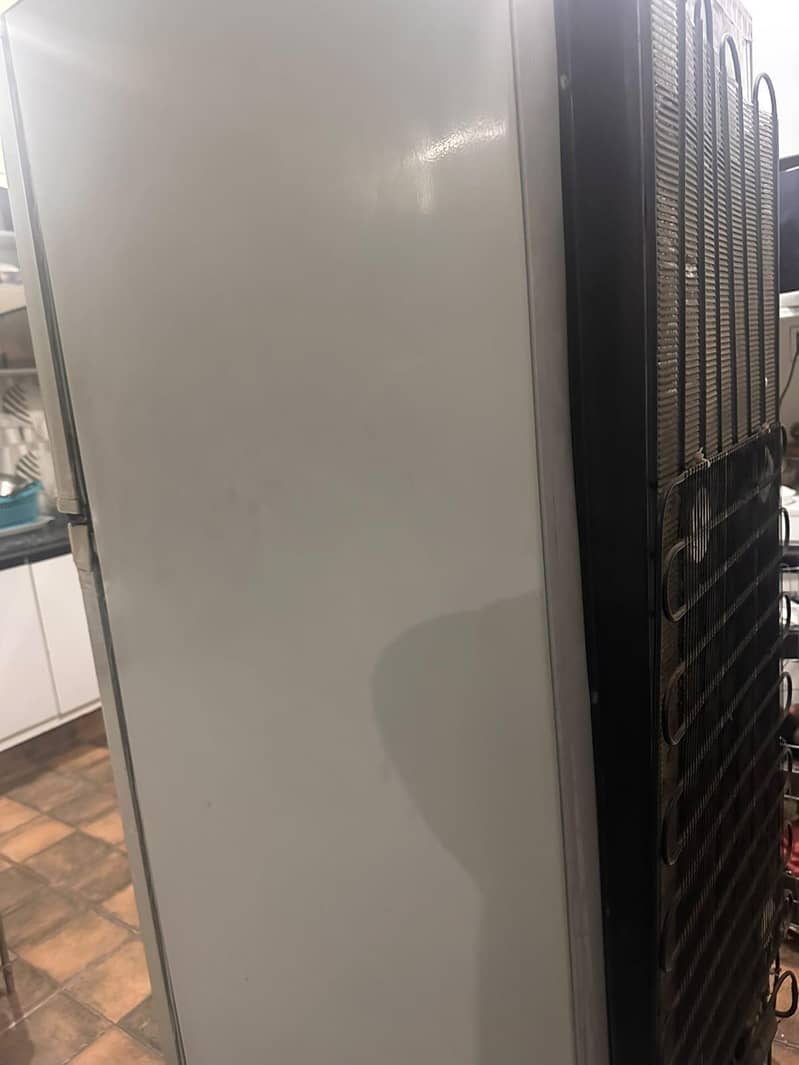 Medium size fridge 2