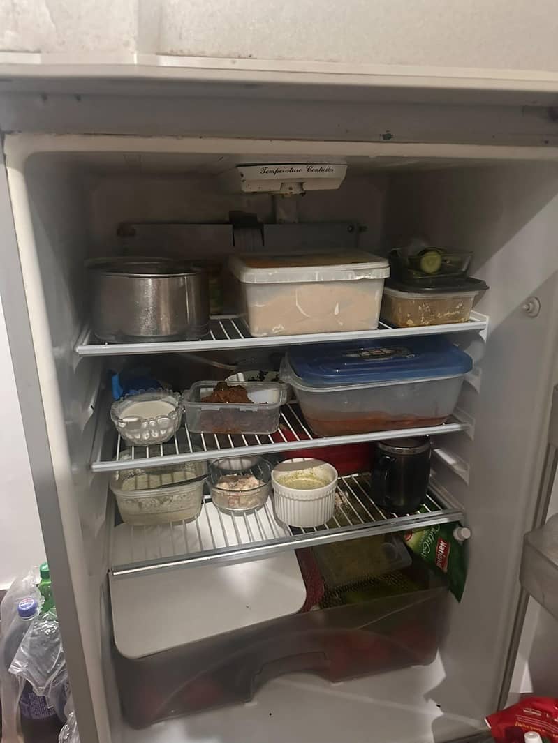 Medium size fridge 5
