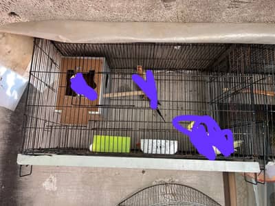 cage avalibal