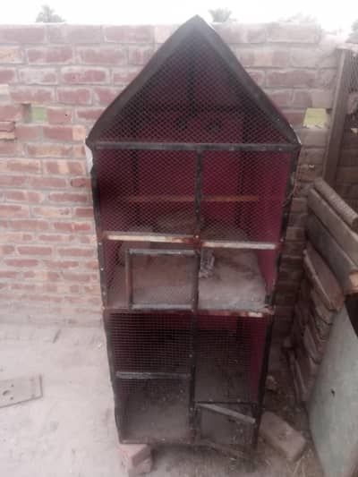 Hen cage