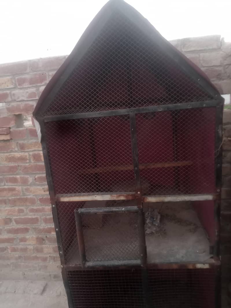 Hen cage 2