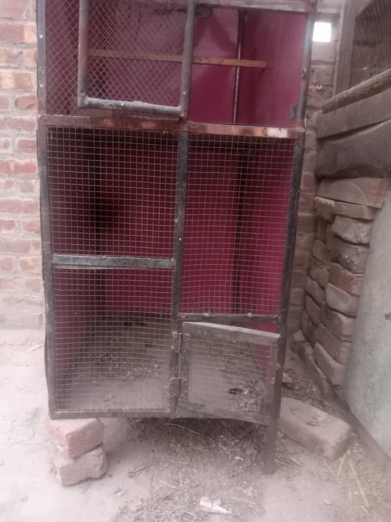 Hen cage 3