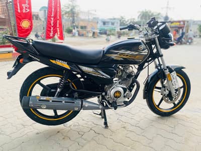 Yamaha ybz-dx for sale
