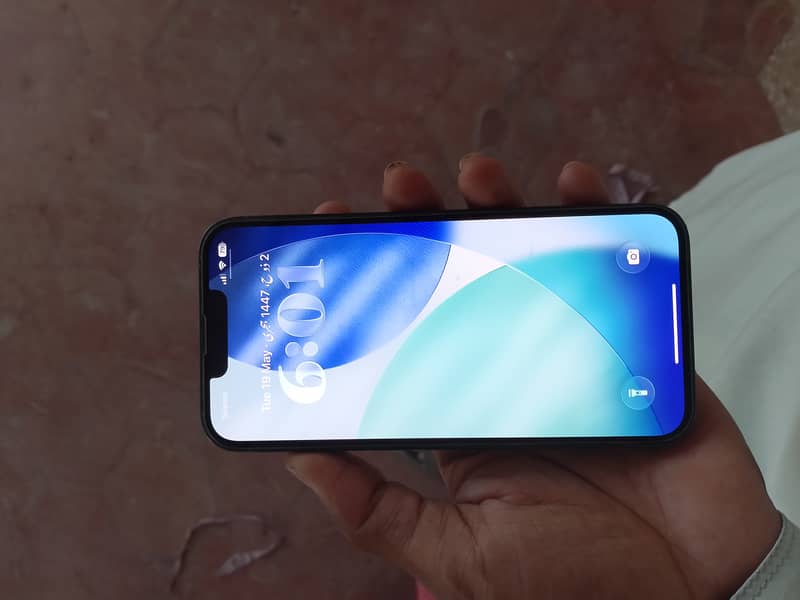 Apple iPhone 13 0