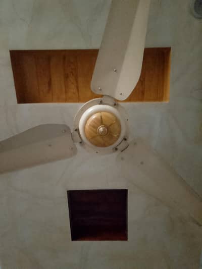 fee fan 6000