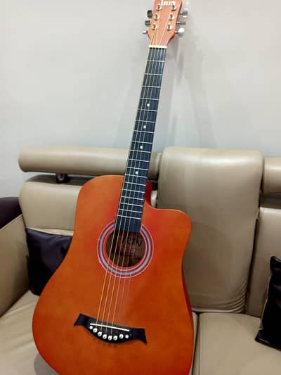 IRIN Guitar for Sale