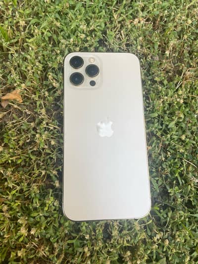 Apple iPhone 12 Pro Max