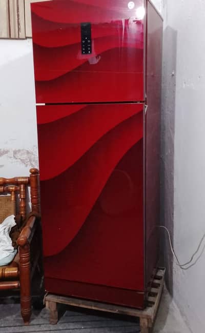 Pel Glass Door Refrigerator