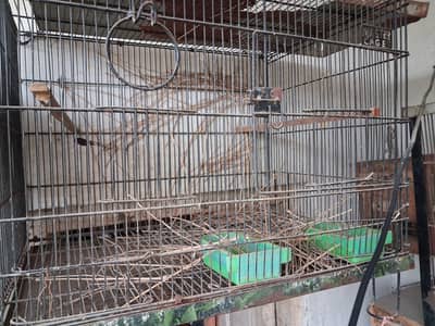 folding cage