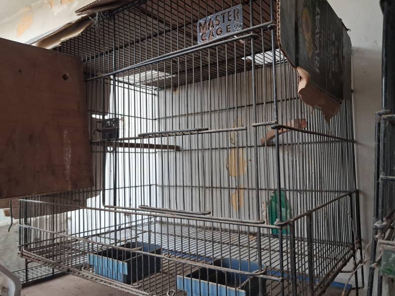 folding cage 1