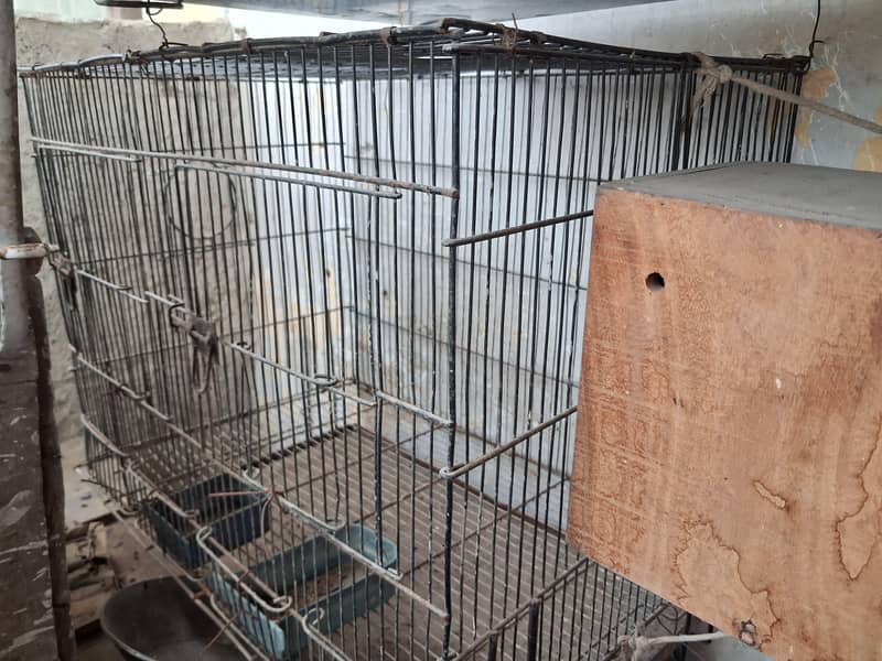 folding cage 2