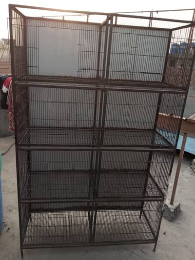 birds  cage