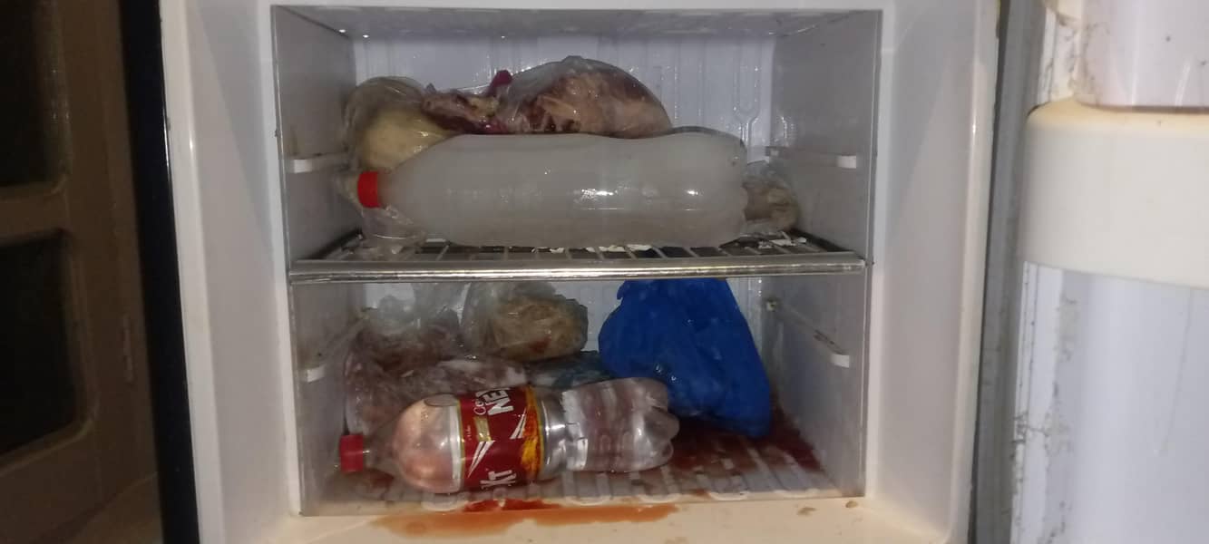 ORIENT FRIDGE 2