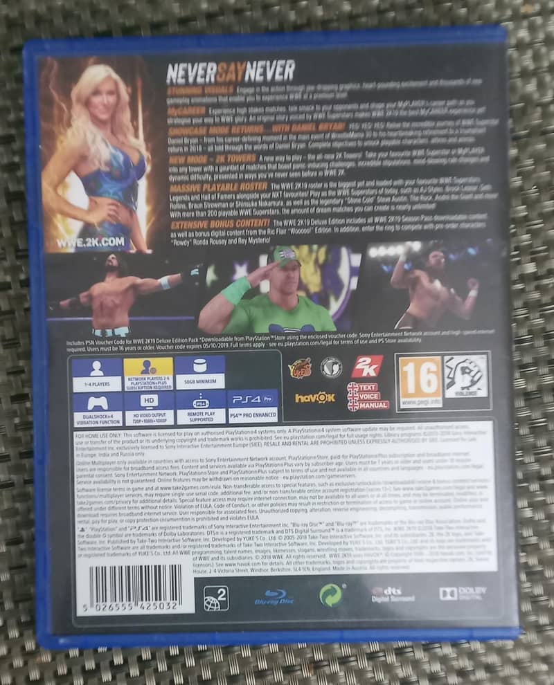WWE19 1