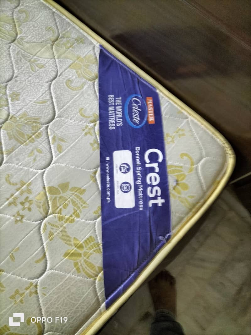 Master Celeste single 1
