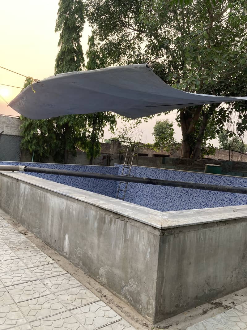 Swimming pool 7