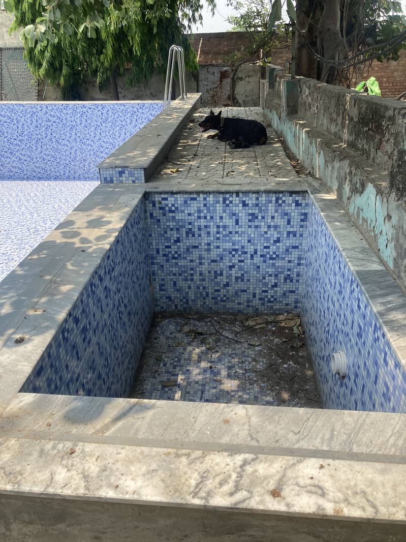 Swimming pool 10