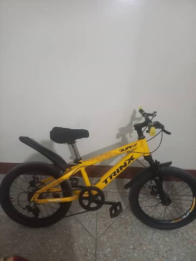 trinx Japanese cycle