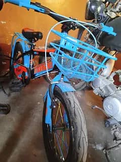 Morgan Japan cycle and trinix cycle