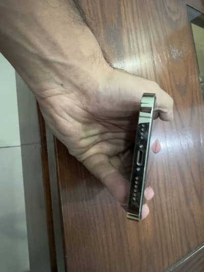 Apple iPhone 12 Pro Max pta approved