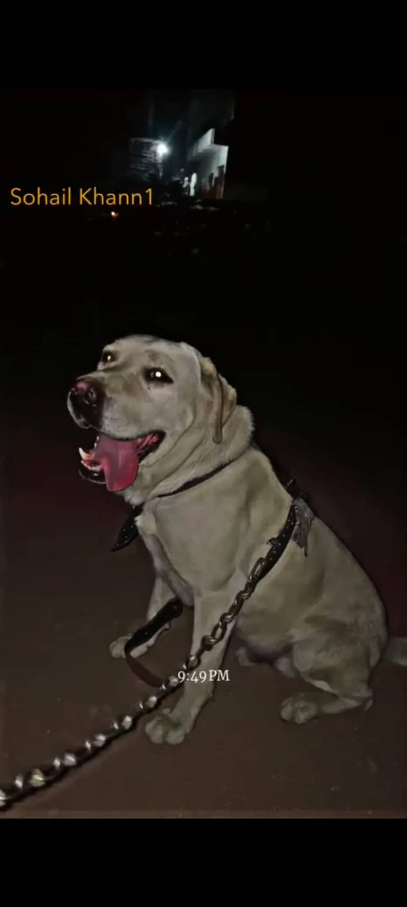 labra 0