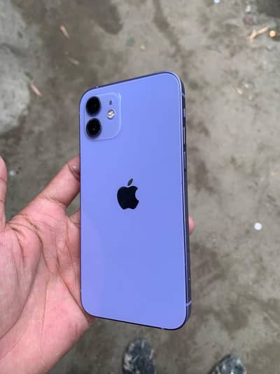 iPhone 12 Exchange only