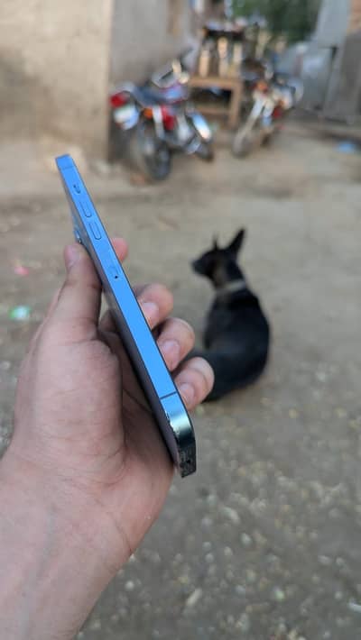 Apple iPhone 13 Pro Max non PTA JV