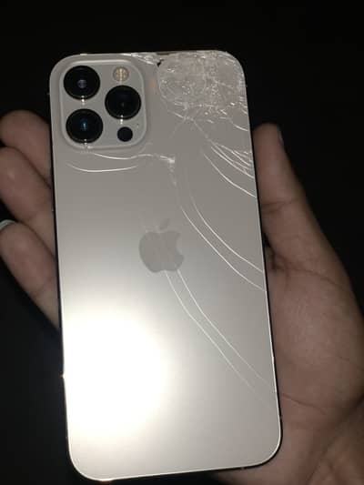 Apple iPhone 12 Pro Max