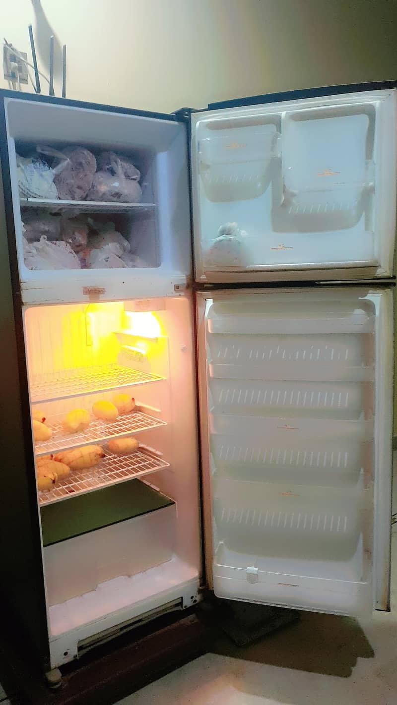 Singer Fridge 4