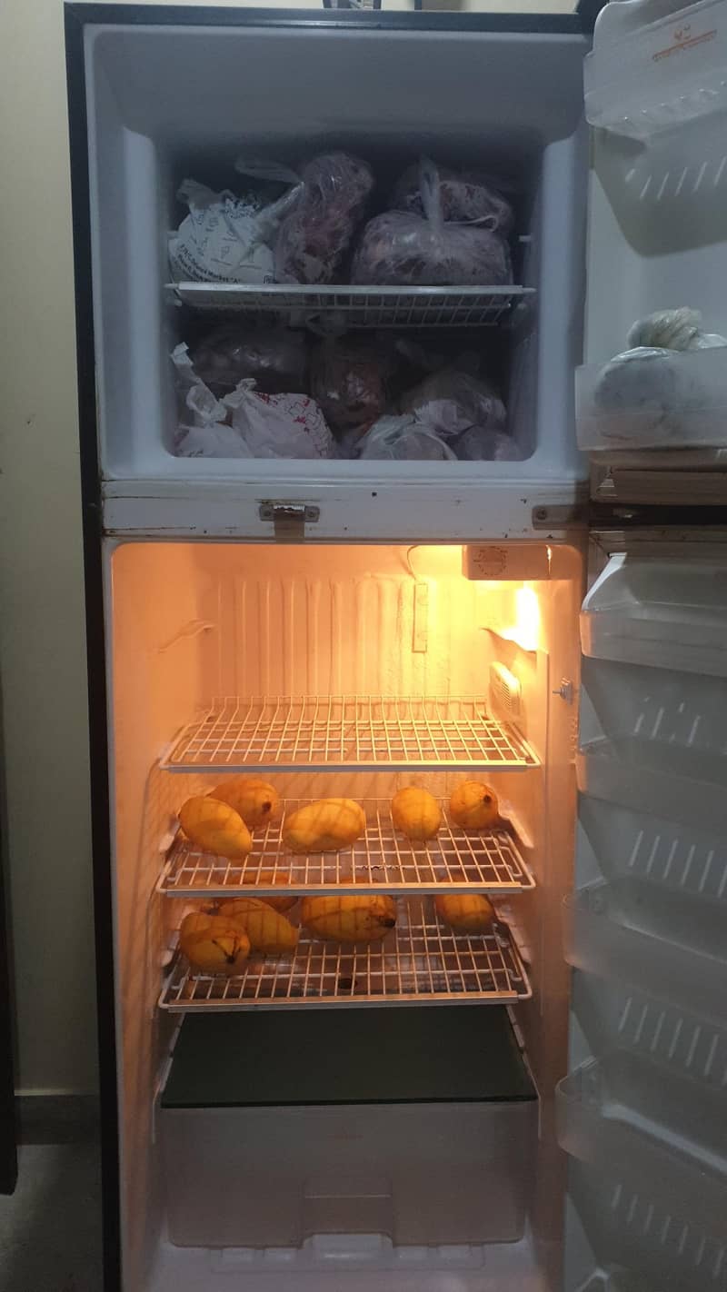 Singer Fridge 5