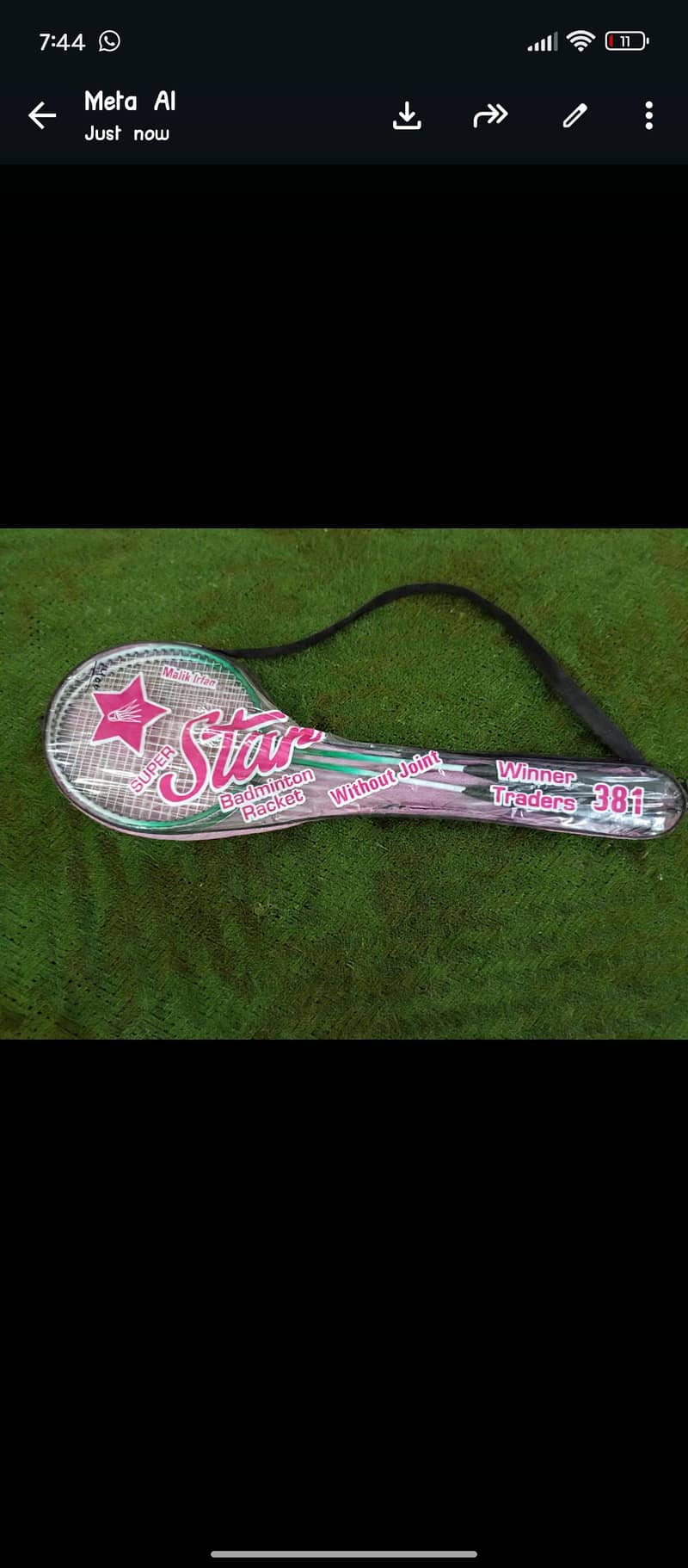 badminton 1