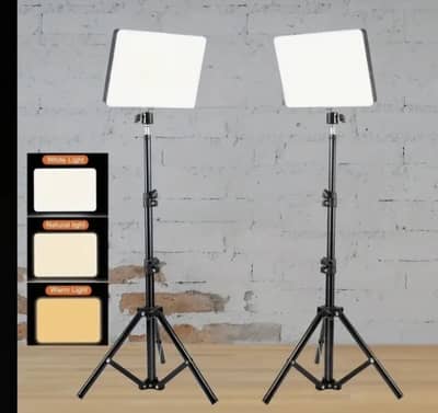 Studio light with 7 feet stand