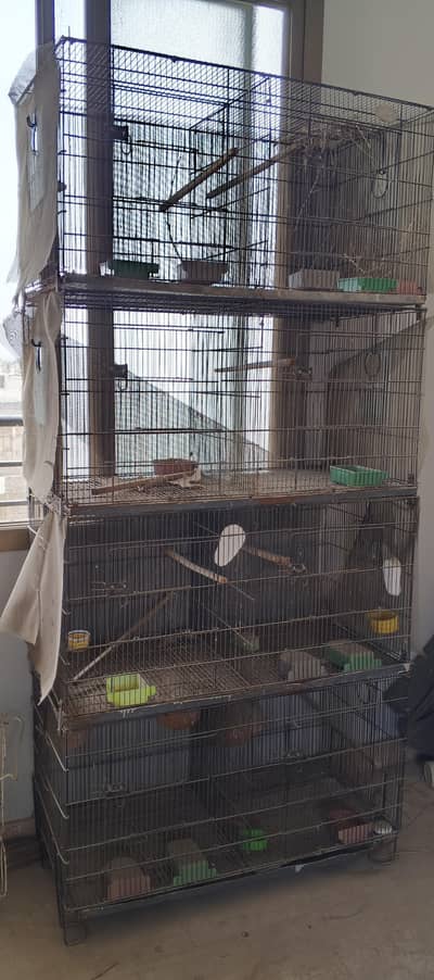 8 portion Cage