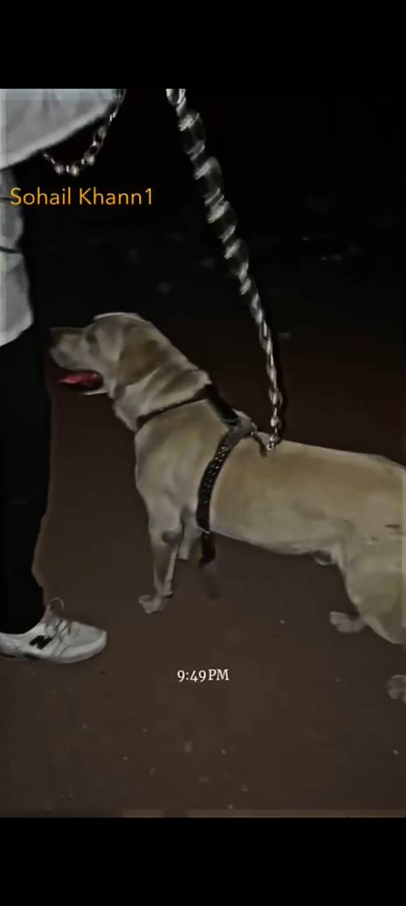 labra 1