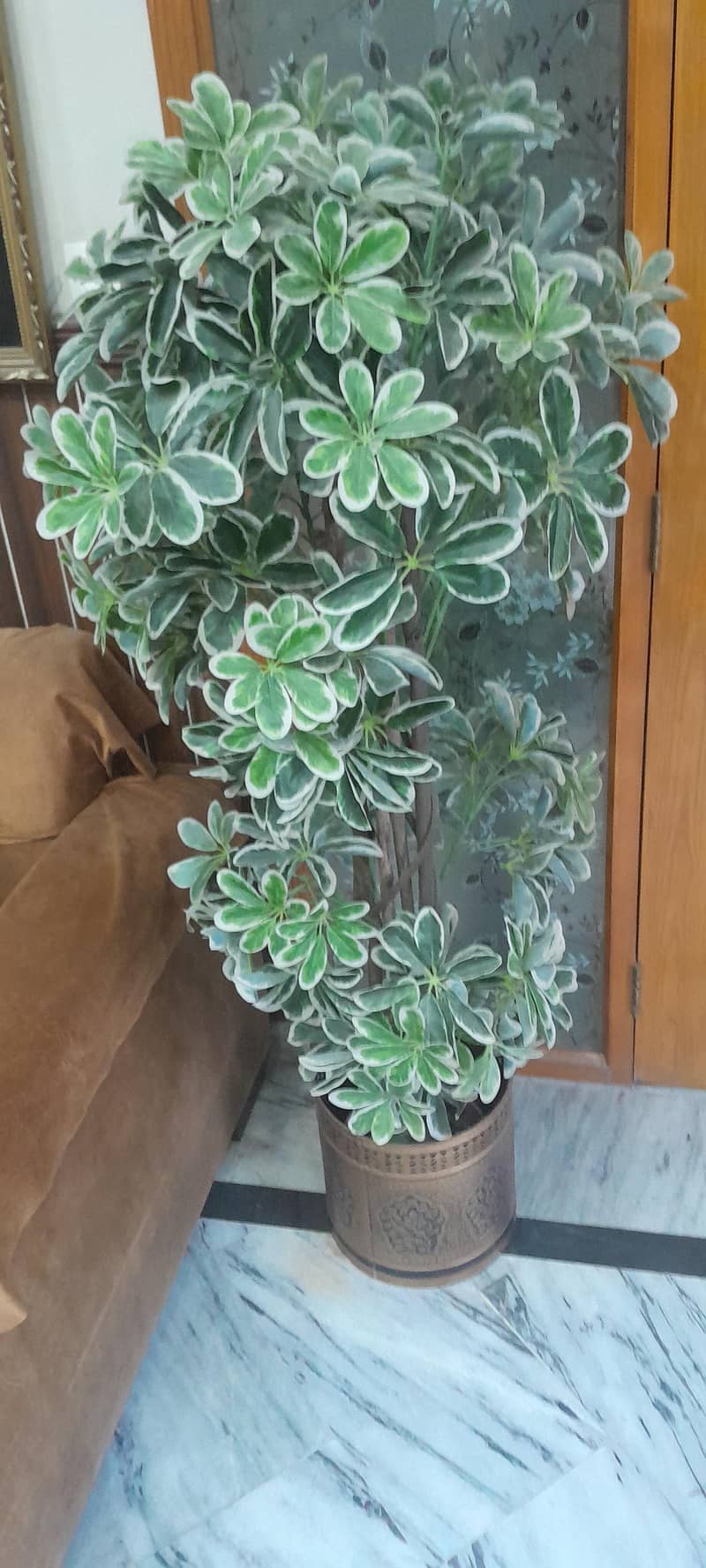 artificial plants 1
