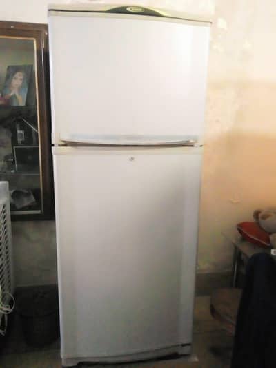 Waves ( fridge )