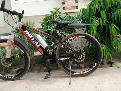 Royal imported bicycle