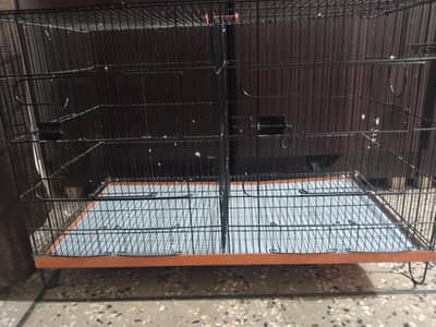 Cage Urgent Sell