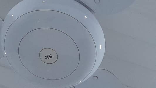 SK ceiling fan