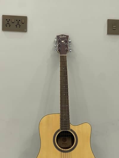 Professional/Beginner Acoustic Guitar in excellent condition