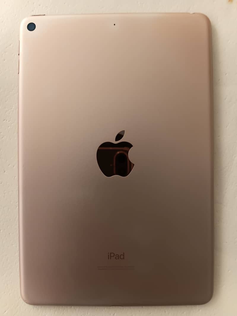 Ipad mini 5 1