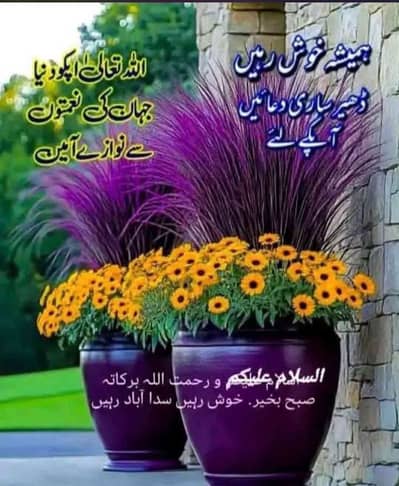 Abdul kareem