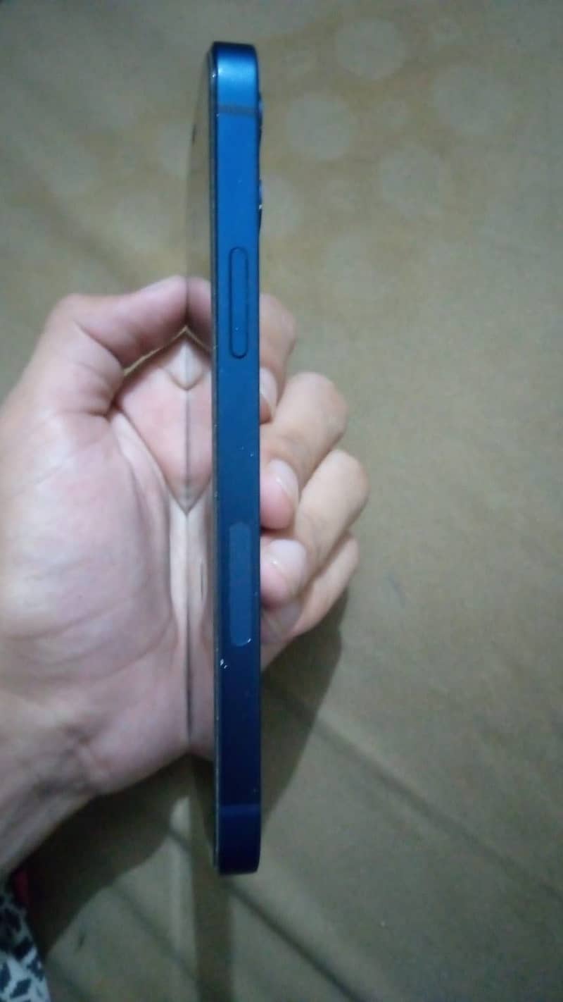 Apple iPhone 12 1